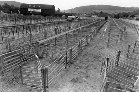 New market tipped as town closures loom