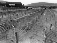New market tipped as town closures loom