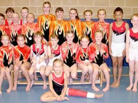 Kestrels enjoy Welsh tumble!