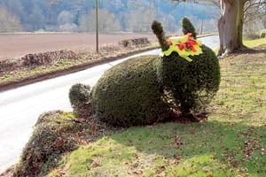 Bunny’s bonny bonnet