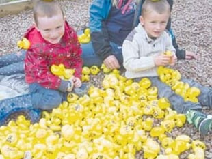 Day for the ducks!