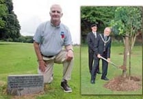 Legion memorial tree is destroyed