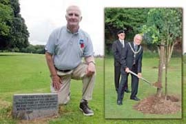 Legion memorial tree is destroyed