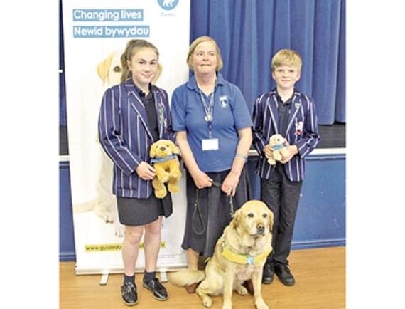 Pupils sponsor puppies