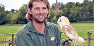 Swift action saves barn owl’s life