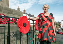Dress with Poppy appeal