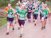 Top spot for Forest half marathon team