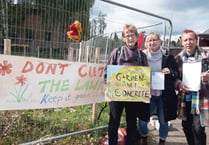 'Town needs green space'