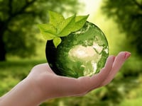 Councils get to work on 2030 carbon neutral aim