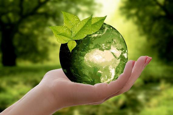 Councils get to work on 2030 carbon neutral aim