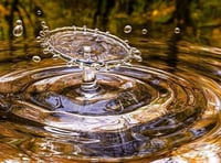 Green project to boost tributary brook