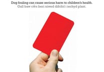£80 fine mess for dog owner