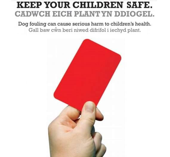 £80 fine mess for dog owner