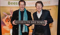 Monty and Bill create a buzz