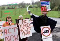 Bird barn bid batted away