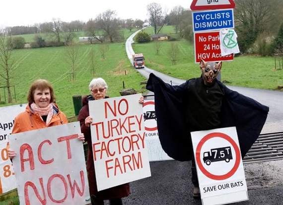 Bird barn bid batted away