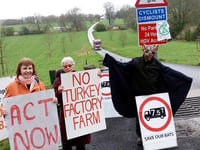 Bird barn bid batted away