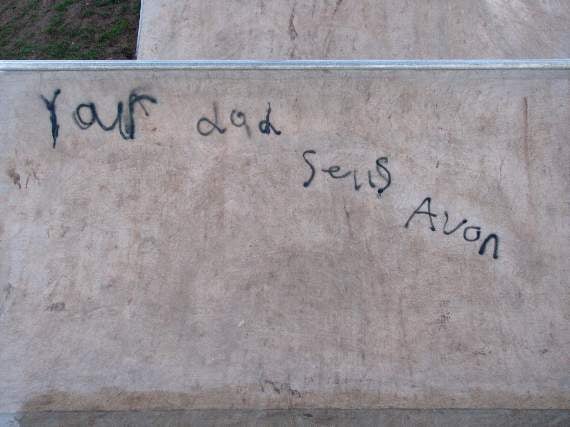 Skate park graffiti vandals caught on CCTV