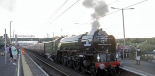 Admiring mighty Tornado as she comes to a halt