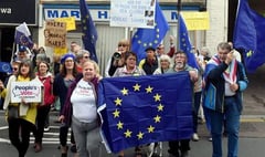 Councillor ‘pushed’ in Brexit ‘no deal’ protest