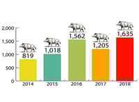 Boar numbers up