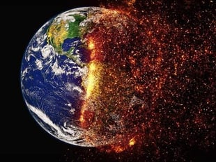 Council declares a ‘climate emergency’ in unanimous move