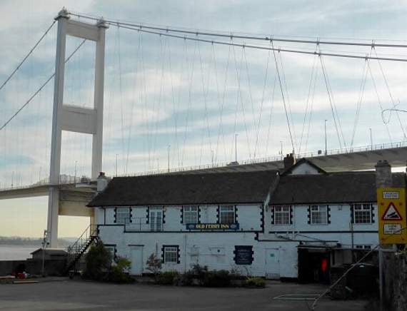 Forest View with Dave Kent