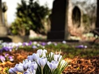 Graveyard pitch plan blasted