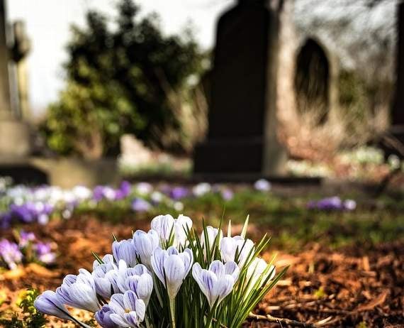 Graveyard pitch plan blasted