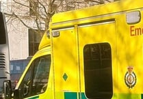 Grandmother, 70, died in tree crash