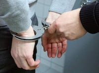 Jail for NHS fraud