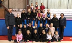 Gymnasts bid to keep club going