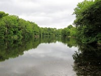Nearly two thirds of survey respondents want to retain Cannop Ponds