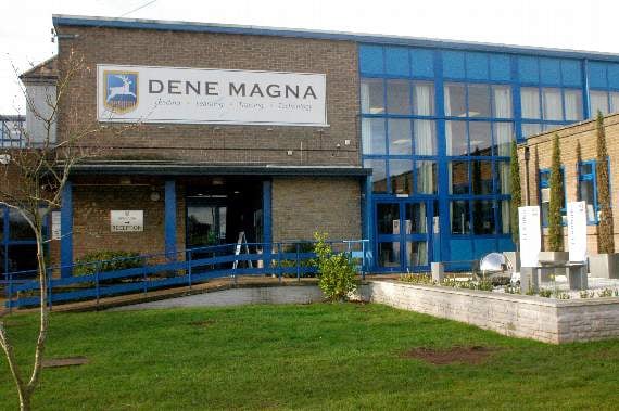 Dene Magna School celebrates exceptional results