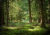 Locals asked for views on protected status for Forest