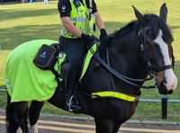 Police horse unit's future up in air