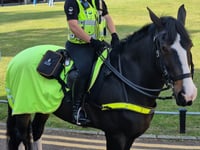 Police horse unit's future up in air