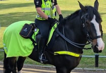 Police horse unit's future up in air