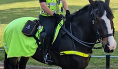 Police horse unit's future up in air