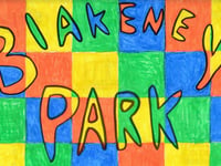 Village's £70,000 playground bid