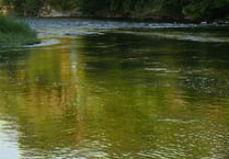 'Actions not words' to tackle river pollution