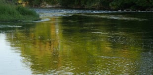 'Actions not words' to tackle river pollution