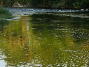 'Actions not words' to tackle river pollution