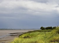 Severn wetlands are set for 'green recovery'