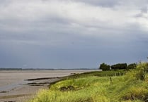 Severn wetlands are set for 'green recovery'