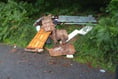 Waste man fined for Forest fly-tipping