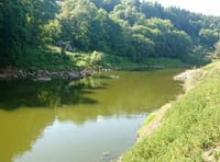 Water companies to be quizzed over pollution