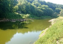 Water companies to be quizzed over pollution