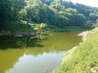 Water companies to be quizzed over pollution
