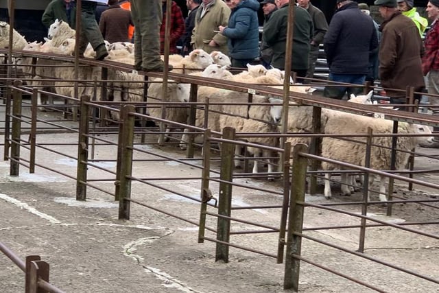 Faster trades than anticipated at Ross Market